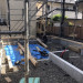 S__8151057.jpg
