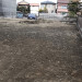 S__8978444.jpg