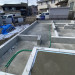 S__25804805.jpg