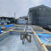 S__25878542.jpg