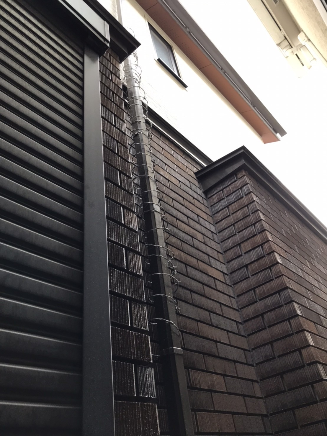 S__10125320.jpg