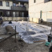 S__10207241.jpg