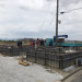 S__3588104.jpg