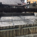 S__6176770.jpg