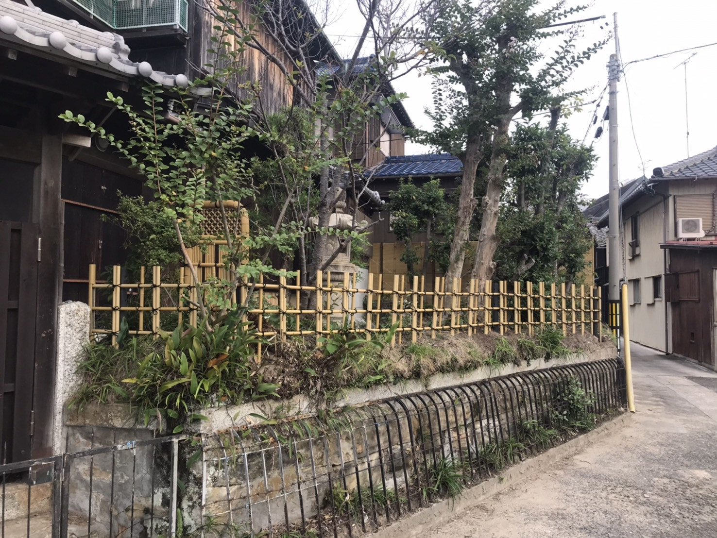 S__10985480_0.jpg