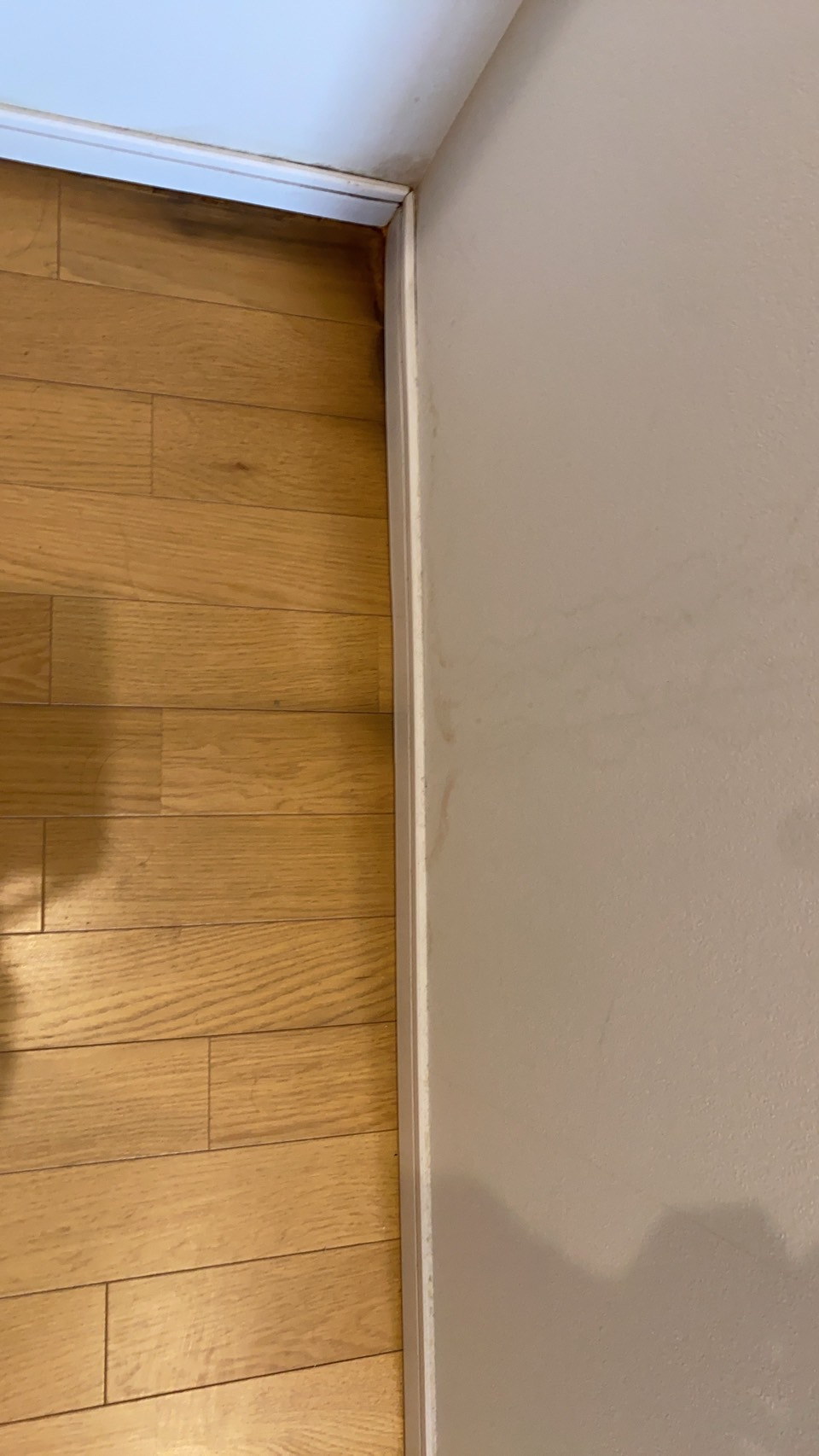 S__25829418.jpg