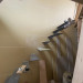S__51642370.jpg