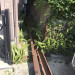S__18489350_0.jpg