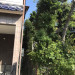 S__18563076_0.jpg