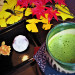 抹茶と大福P9120521.jpg