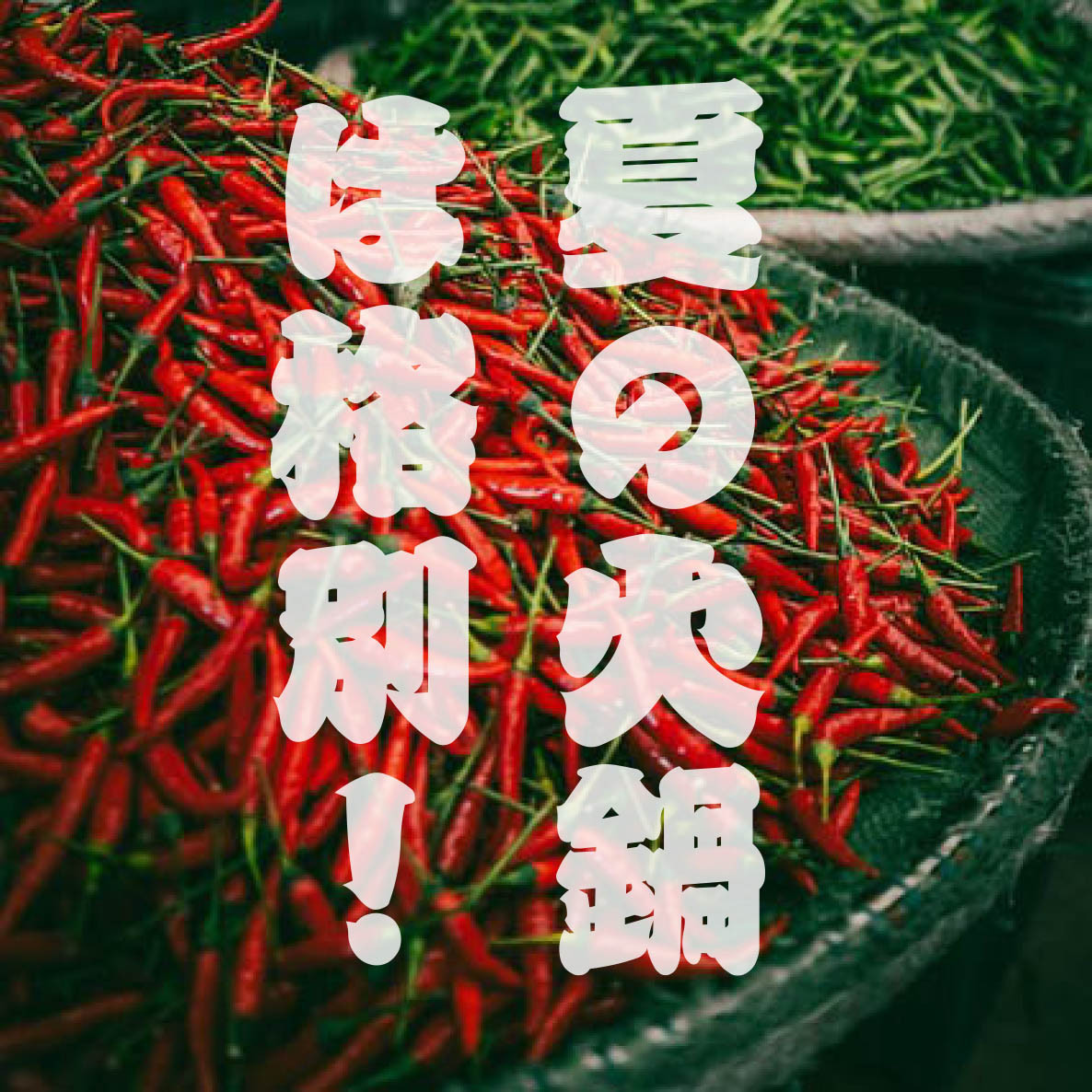火鍋が好き! 夏だから