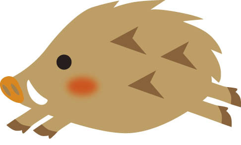 イノシシ.jpg