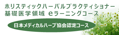 バナー_A.jpg