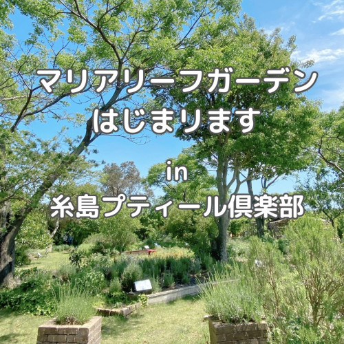 【募集】プロに学ぶ! マリアリーフのハーブガーデン作り体験 in 糸島プティール倶楽部(2024/5/10〜)