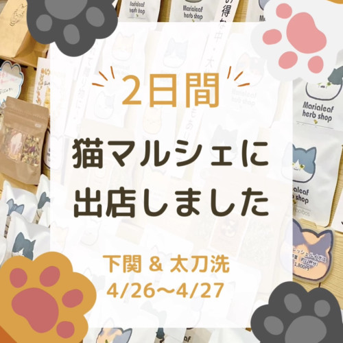 猫マルシェに出店しました♪〜マリアリーフ親子で楽しい2日間〜