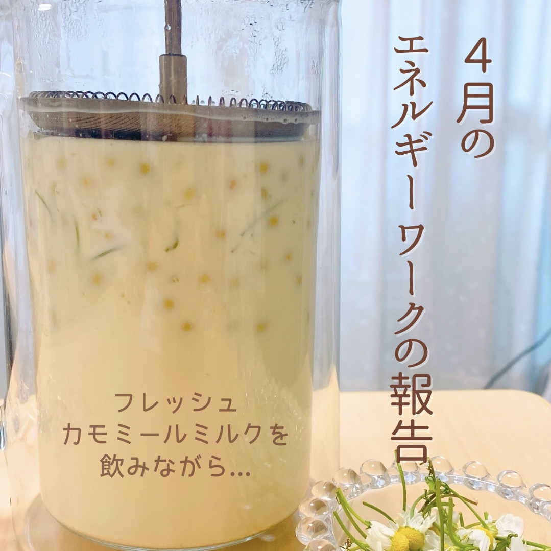 4月のエネルギーワークご報告|手のぬくもりと奇跡の時間