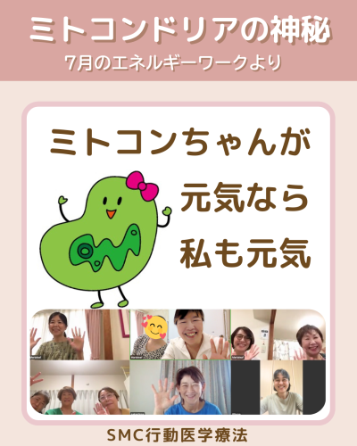 【活動レポ】ミトコンドリアの神秘と母系遺伝を学ぶ|SMC行動医学療法エネルギーワーク(2025年7月・福岡/マリアリーフ)