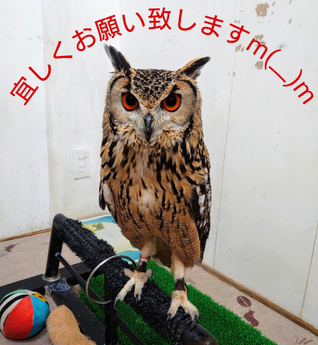 新型コロナウイルス感染拡大防止の取り組みとお知らせ