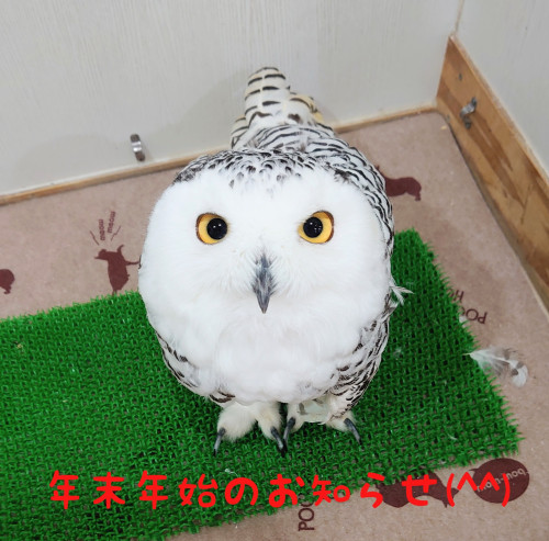年末年始の営業時間につきまして