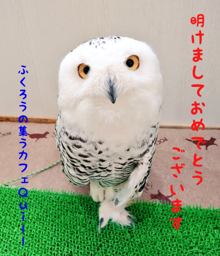 2022年元旦 新年おめでとうございます(^^)