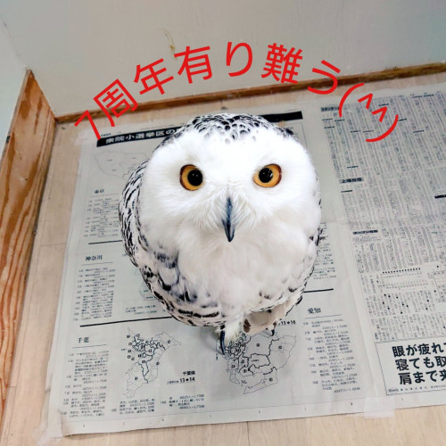 7周年有り難うございます(^^)