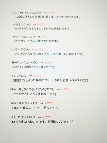 【終了】🌟8周年記念キャンペーンのお知らせ❗