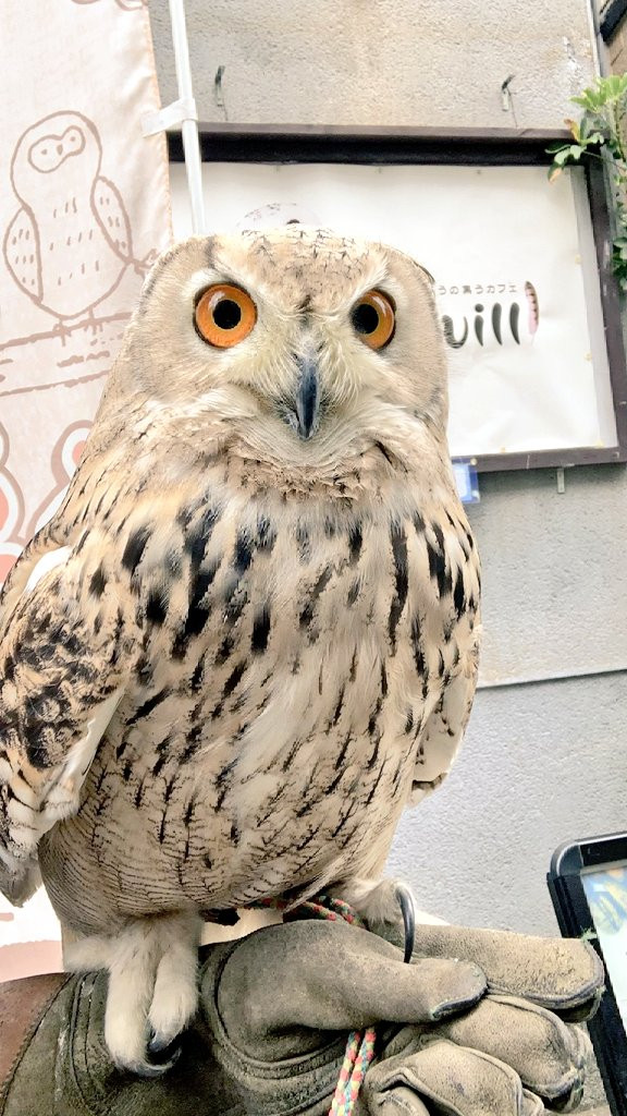 【速報】お散歩懇談会