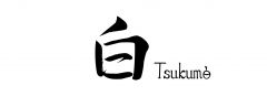 白 Tsukumo Kaiseki restaurant in Nara                             
