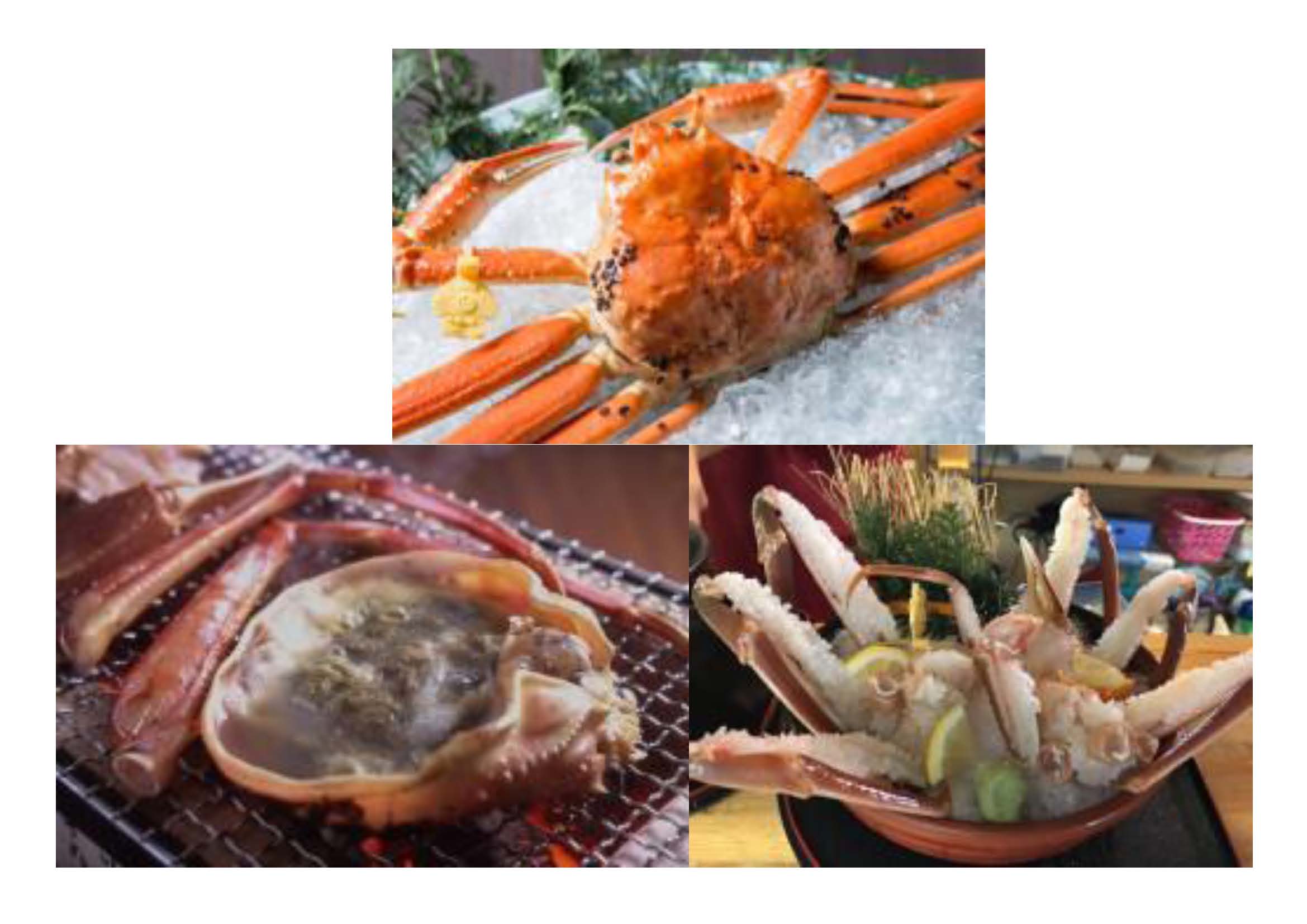 越前蟹.jpg