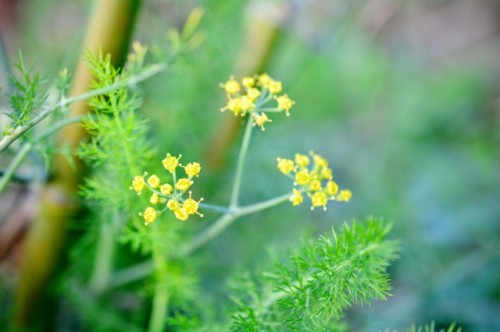 th_IMG_2751.jpg