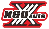 NGU auto.png 01 - コピー.png
