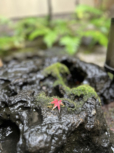 2025年クリスマスコースと年末年始の営業のおしらせ