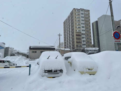 ご挨拶(ご挨拶は日々更新):寒波が抜けましたね