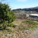 P1130834.JPG