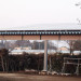 P2120674.JPG
