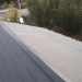 P1010005.JPG