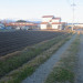 R0025166.JPG
