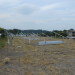 DSCN6498.JPG
