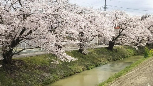 臨時休業のお知らせ