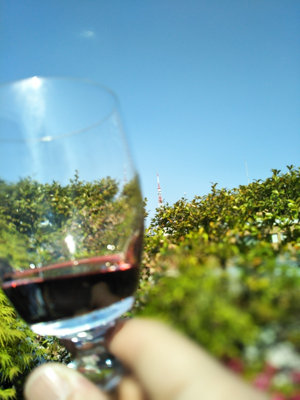 昼飲みランチ最高🍷