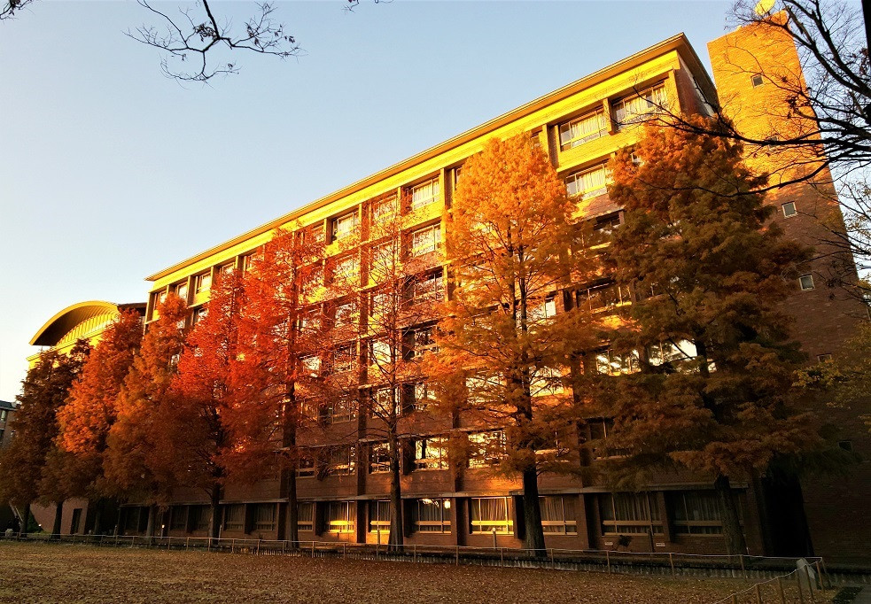 関西大学の秋