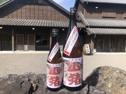 赤山猪　発売のお知らせ