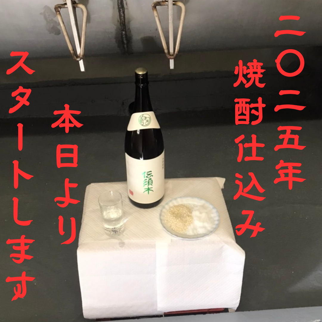 2025年度 焼酎の仕込みスタート