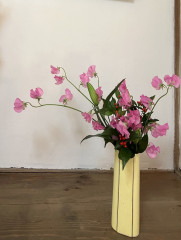 個人宅 訪問花使い