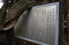 IMG_3860.JPG