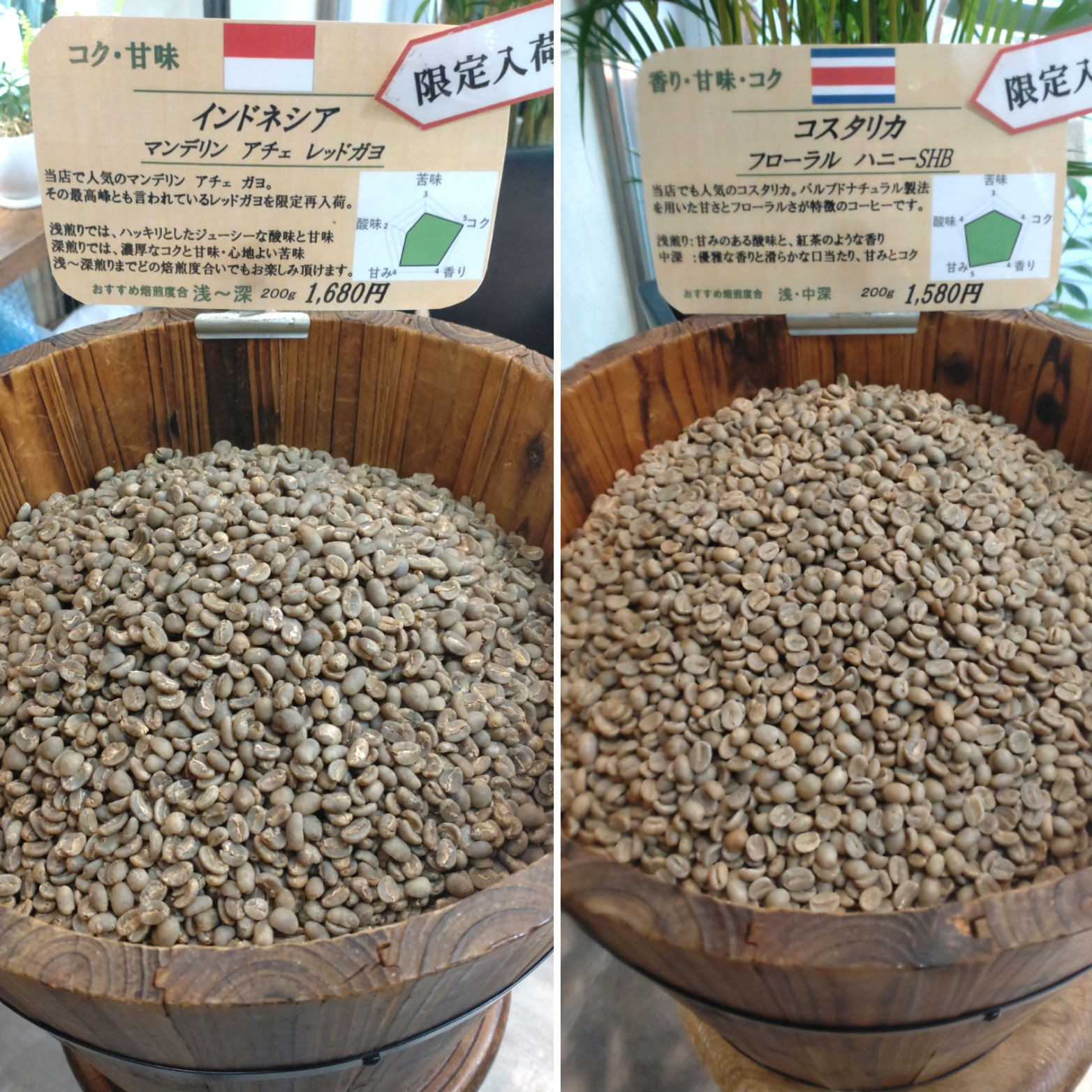 限定入荷2銘柄のご紹介