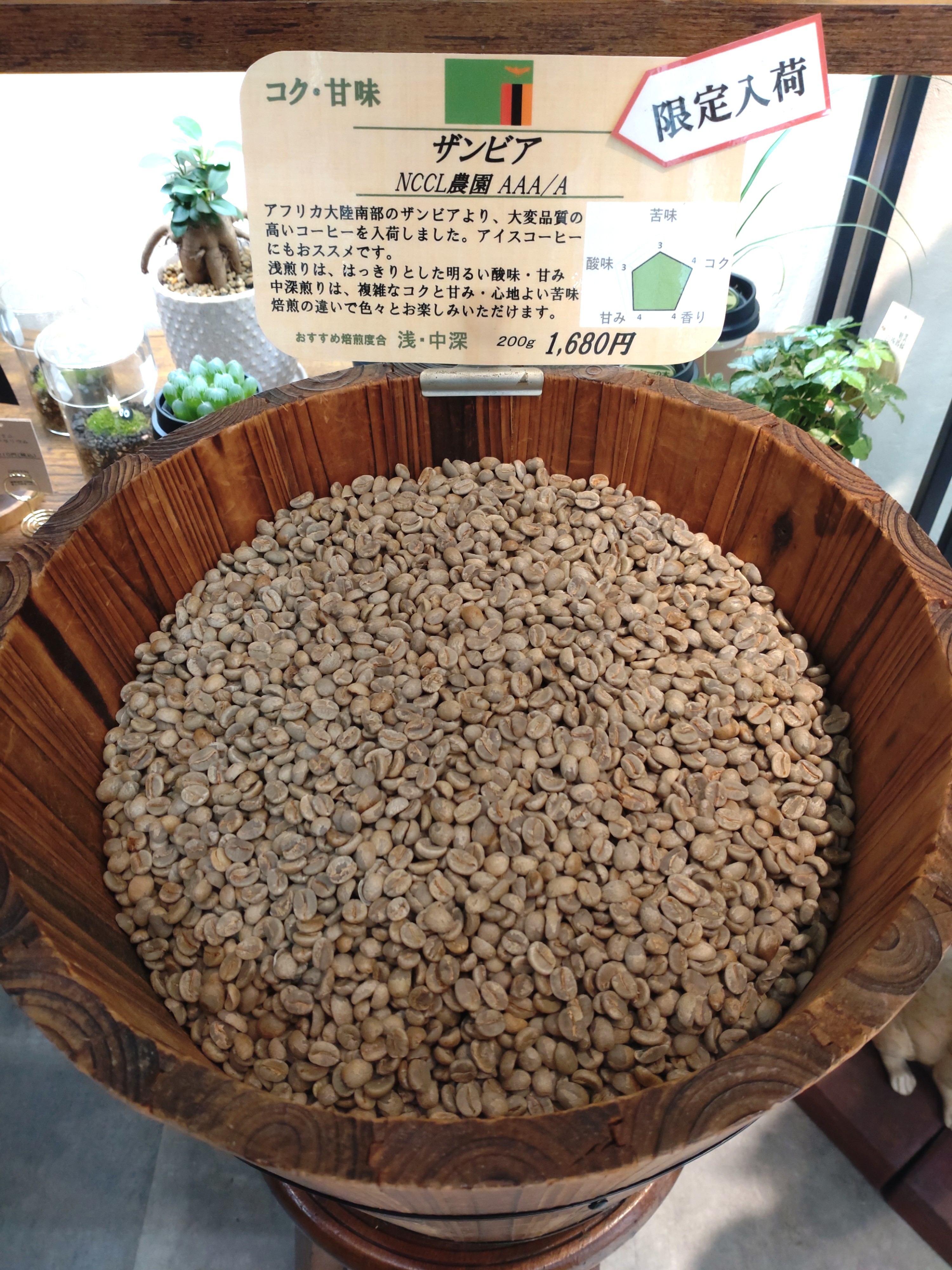 【限定再入荷】ザンビア NCCL農園 AAA/AA