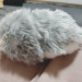 ボンちゃん1.jpg