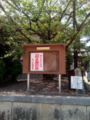 IMG_20160420_123658.jpg