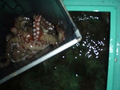 2016.6.19.JPG